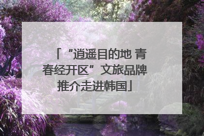 “逍遥目的地 青春经开区”文旅品牌推介走进韩国