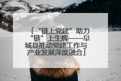 “链上党建”助力“链”上生辉——阜城县推动党建工作与产业发展深度融合