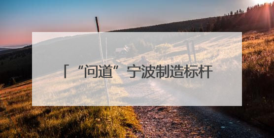 “问道”宁波制造标杆 25位临海大田企业家取回“发展真经”