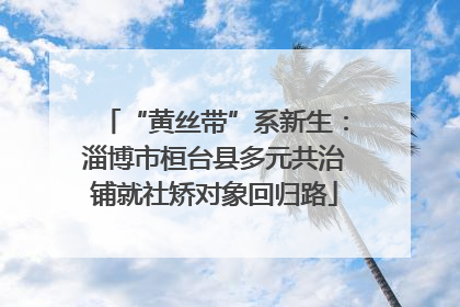“黄丝带”系新生：淄博市桓台县多元共治铺就社矫对象回归路