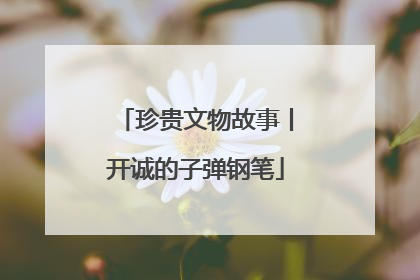 珍贵文物故事丨开诚的子弹钢笔