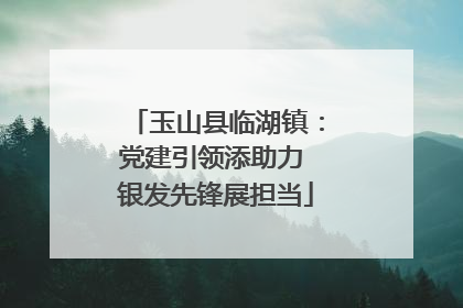 玉山县临湖镇：党建引领添助力 银发先锋展担当