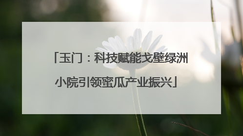 玉门：科技赋能戈壁绿洲 小院引领蜜瓜产业振兴