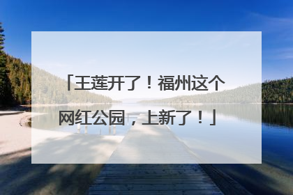 王莲开了！福州这个网红公园，上新了！