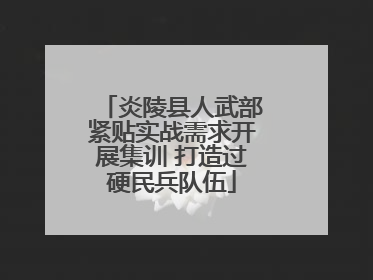 炎陵县人武部紧贴实战需求开展集训 打造过硬民兵队伍