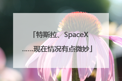 特斯拉、SpaceX……现在情况有点微妙