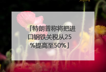 特朗普称将把进口钢铁关税从25%提高至50%
