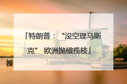 特朗普：“没空理马斯克” 欧洲抛橄榄枝