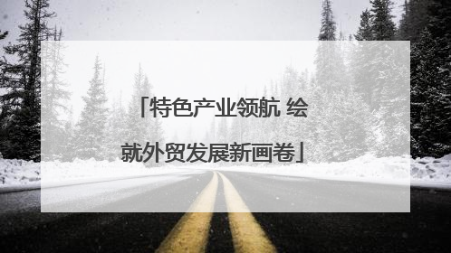特色产业领航 绘就外贸发展新画卷