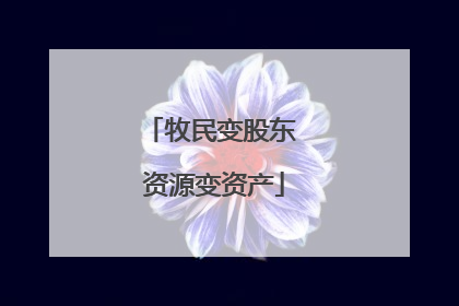牧民变股东 资源变资产