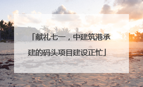 献礼七一，中建筑港承建的码头项目建设正忙