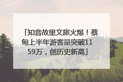 知音故里文旅火爆！蔡甸上半年游客量突破1159万，创历史新高
