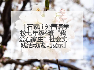 石家庄外国语学校七年级4班“我爱石家庄”社会实践活动成果展示