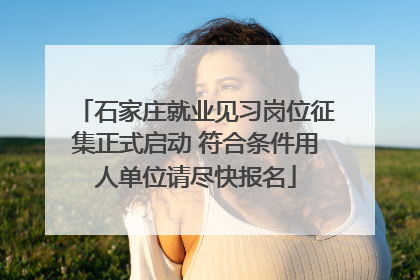 石家庄就业见习岗位征集正式启动 符合条件用人单位请尽快报名