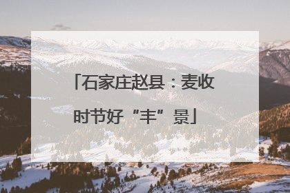 石家庄赵县：麦收时节好“丰”景