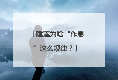 睡莲为啥“作息”这么规律？