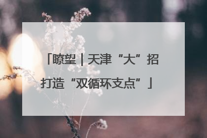 瞭望｜天津“大”招打造“双循环支点”