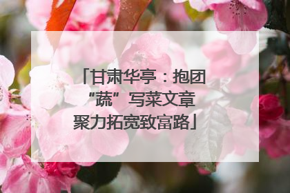 甘肃华亭：抱团“蔬”写菜文章 聚力拓宽致富路