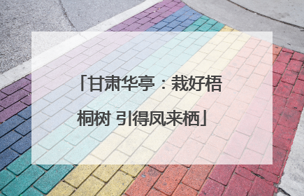 甘肃华亭：栽好梧桐树 引得凤来栖