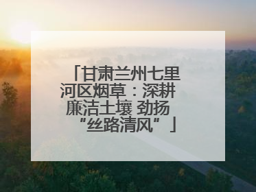 甘肃兰州七里河区烟草：深耕廉洁土壤 劲扬“丝路清风”