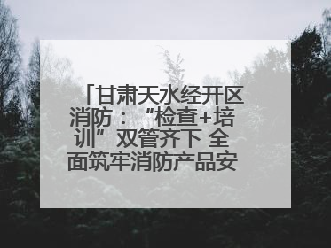 甘肃天水经开区消防：“检查+培训”双管齐下 全面筑牢消防产品安全防线