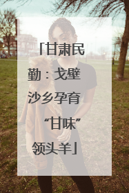 甘肃民勤：戈壁沙乡孕育“甘味”领头羊