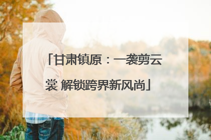 甘肃镇原：一袭剪云裳 解锁跨界新风尚