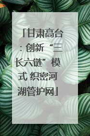 甘肃高台：创新“三长六链”模式 织密河湖管护网