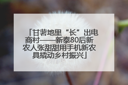 甘薯地里“长”出电商村——新泰80后新农人张甜甜用手机新农具撬动乡村振兴