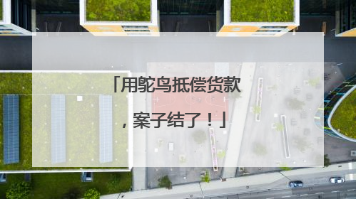 用鸵鸟抵偿货款，案子结了！