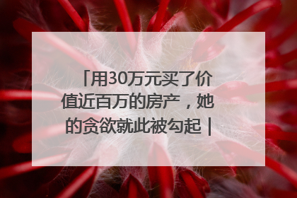 用30万元买了价值近百万的房产，她的贪欲就此被勾起｜今晚九点半