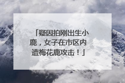 疑因拍刚出生小鹿，女子在市区内遭梅花鹿攻击！