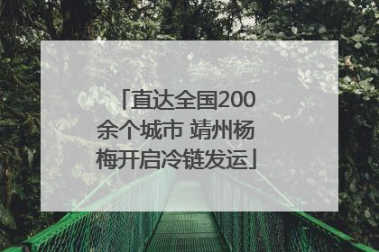 直达全国200余个城市 靖州杨梅开启冷链发运