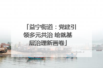 益宁街道：党建引领多元共治 绘就基层治理新画卷