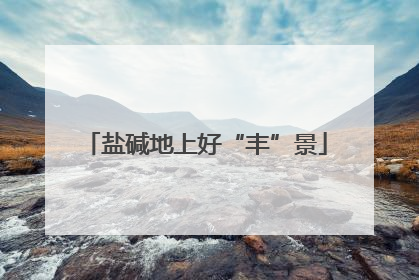 盐碱地上好“丰”景