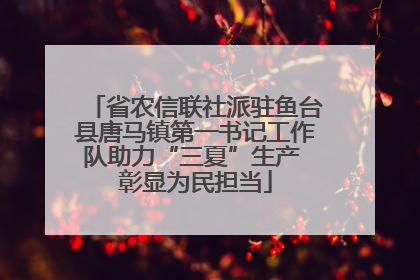 省农信联社派驻鱼台县唐马镇第一书记工作队助力“三夏”生产 彰显为民担当