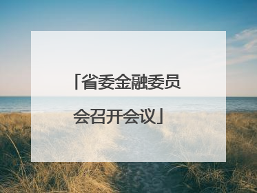 省委金融委员会召开会议