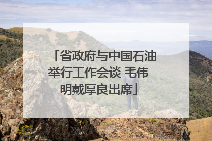 省政府与中国石油举行工作会谈 毛伟明戴厚良出席