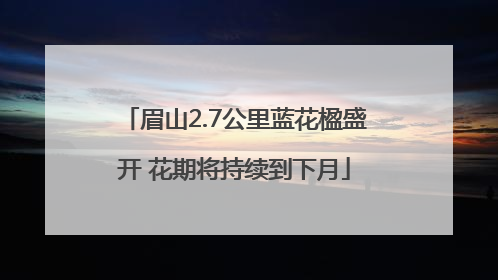 眉山2.7公里蓝花楹盛开 花期将持续到下月