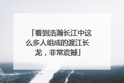 看到浩瀚长江中这么多人组成的渡江长龙，非常震撼