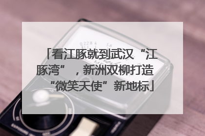 看江豚就到武汉“江豚湾”，新洲双柳打造“微笑天使”新地标
