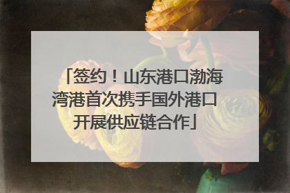 签约！山东港口渤海湾港首次携手国外港口开展供应链合作