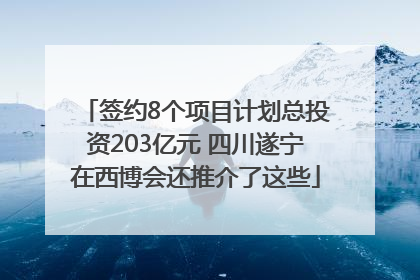 签约8个项目计划总投资203亿元 四川遂宁在西博会还推介了这些