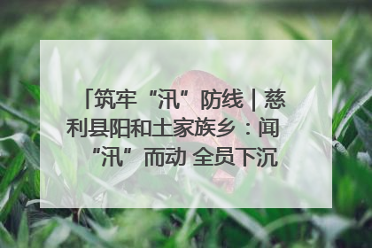 筑牢“汛”防线｜慈利县阳和土家族乡：闻“汛”而动 全员下沉筑牢防汛“安全堤”