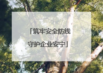 筑牢安全防线 守护企业安宁