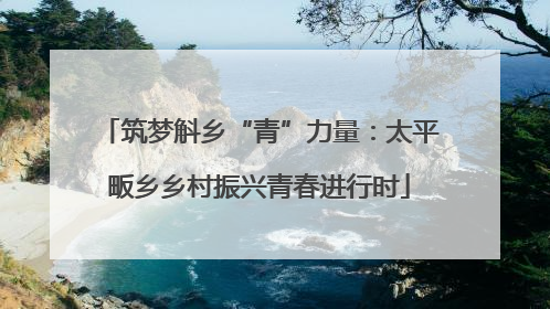 筑梦斛乡“青”力量：太平畈乡乡村振兴青春进行时