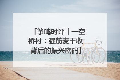 筝鸣时评丨一空桥村：强筋麦丰收背后的振兴密码