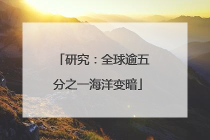 研究：全球逾五分之一海洋变暗