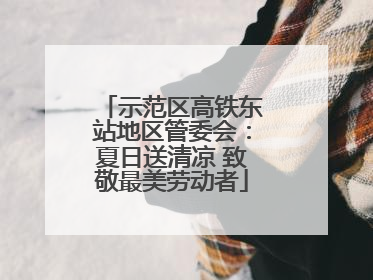示范区高铁东站地区管委会：夏日送清凉 致敬最美劳动者