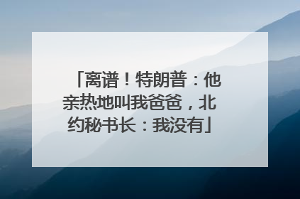 离谱！特朗普：他亲热地叫我爸爸，北约秘书长：我没有